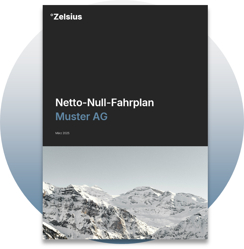 Netto-Null-Fahrplan Bericht